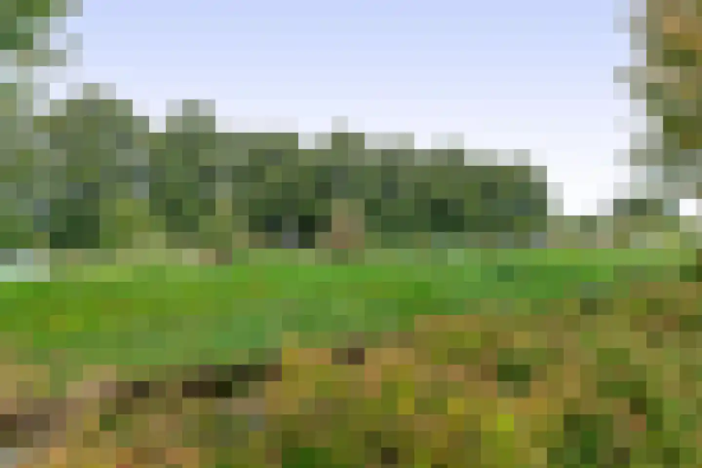 Noorderkroon 23 Lisse thumbnail 38