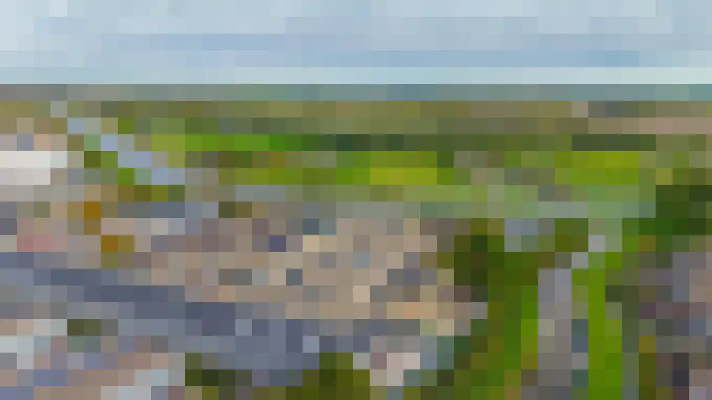 Noorderkroon 23 Lisse thumbnail 41
