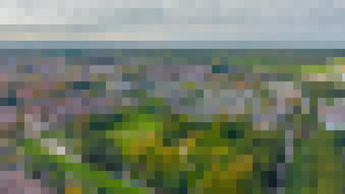 Noorderkroon 23 Lisse thumbnail 43