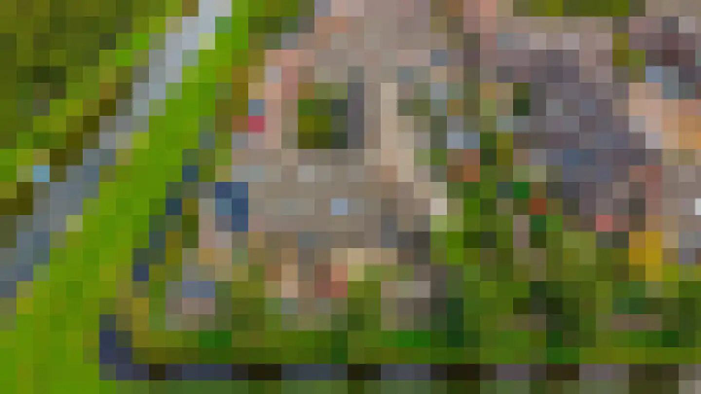 Noorderkroon 23 Lisse thumbnail 46