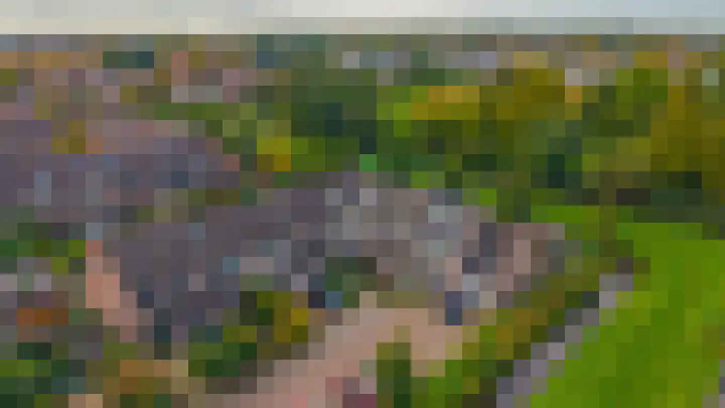 Noorderkroon 23 Lisse thumbnail 53