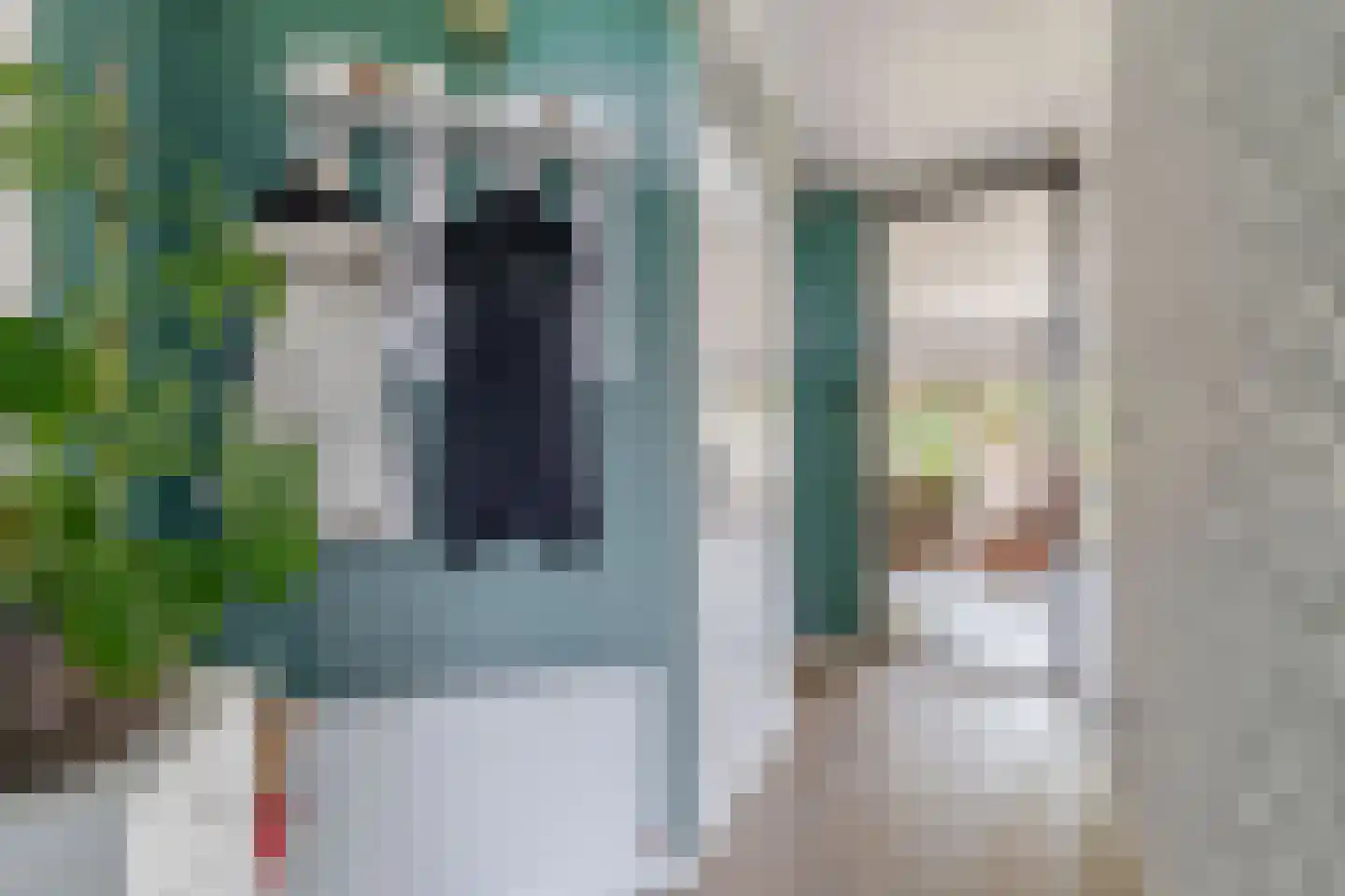 Noorderkroon 23 Lisse thumbnail 7