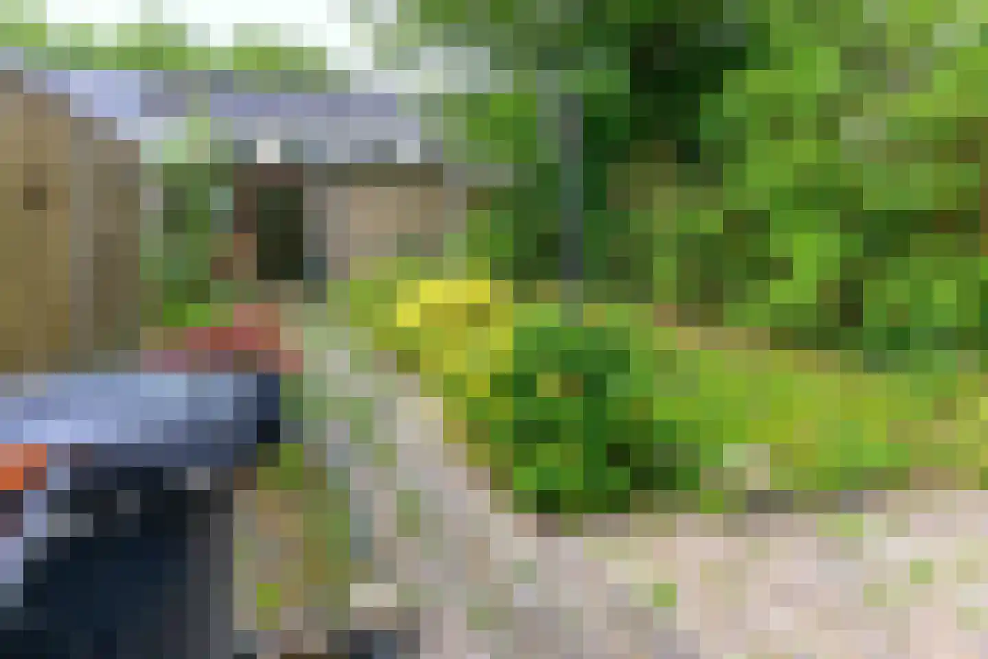 Noorderkroon 29 Emmeloord thumbnail 13