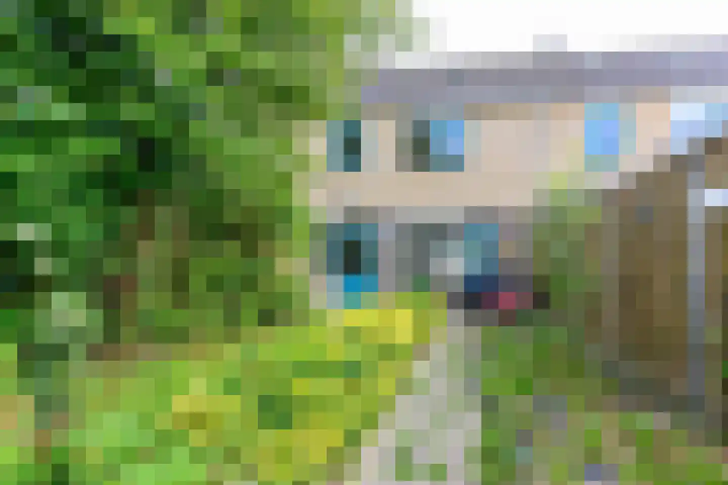 Noorderkroon 29 Emmeloord thumbnail 16