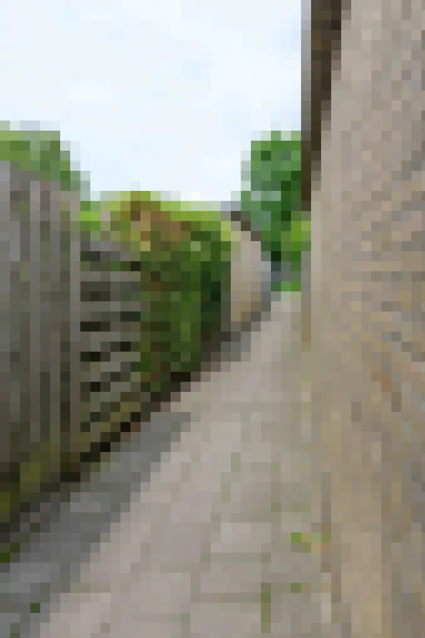 Noorderkroon 29 Emmeloord thumbnail 17