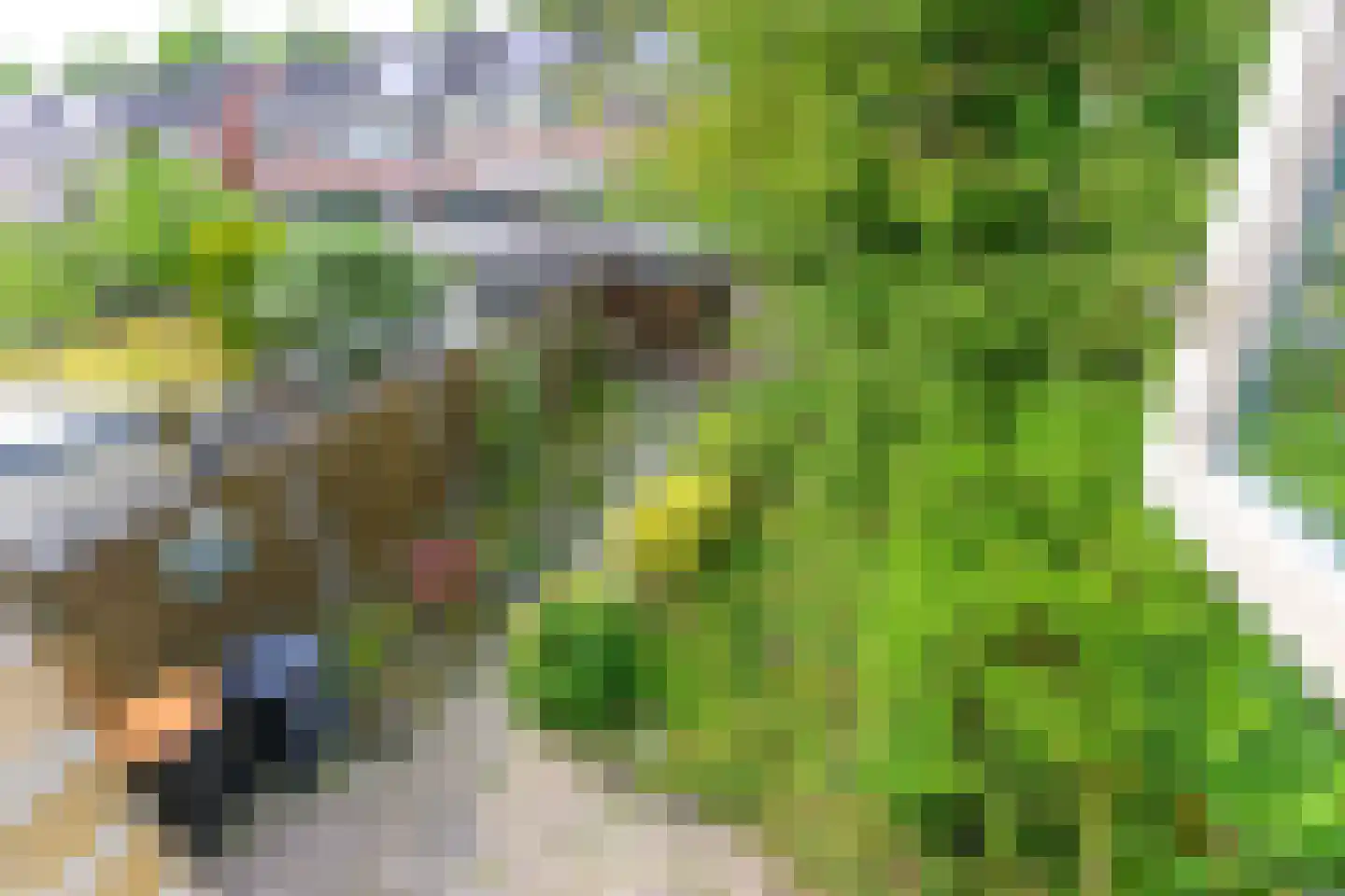 Noorderkroon 29 Emmeloord thumbnail 22