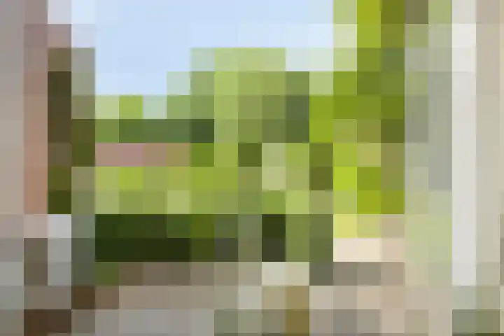 Noorderkroon 30 Roden thumbnail 26
