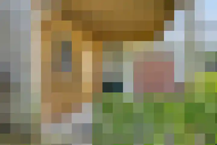 Noorderkroon 30 Roden thumbnail 28