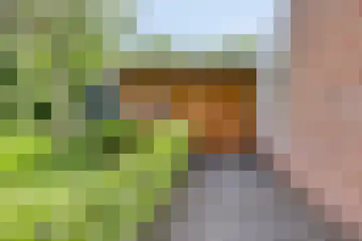 Noorderkroon 30 Roden thumbnail 29