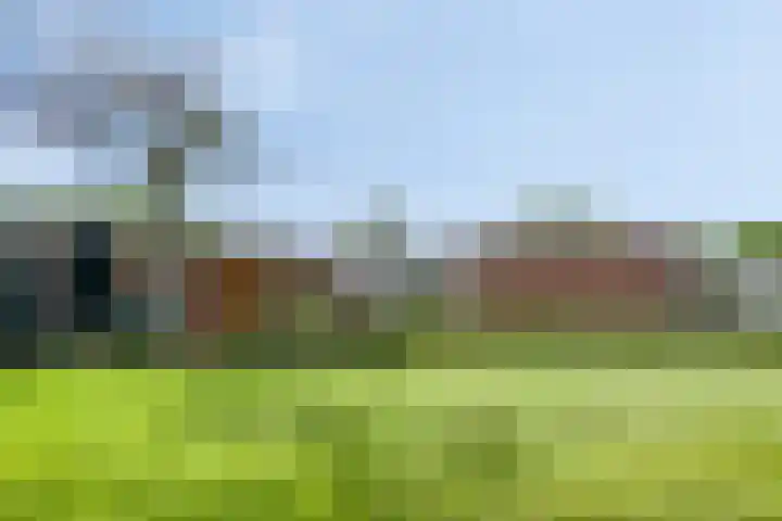 Noorderkroon 30 Roden thumbnail 31