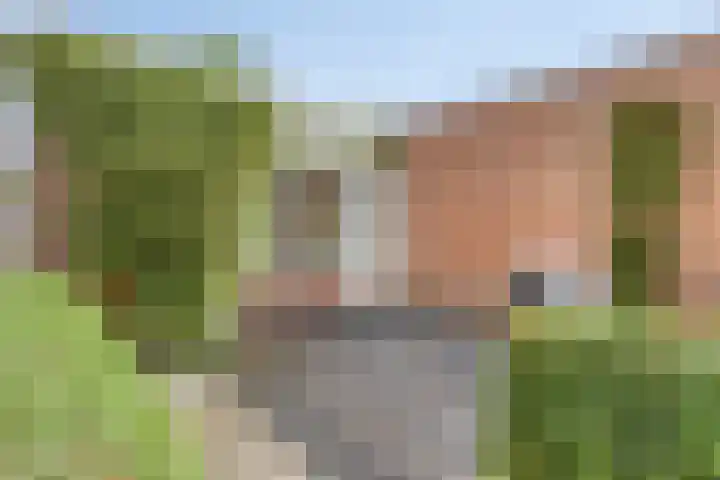 Noorderkroon 30 Roden thumbnail 32