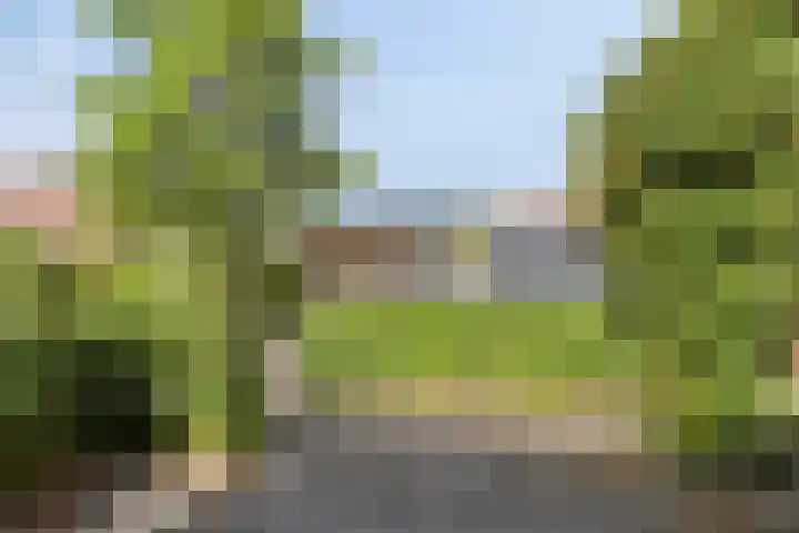 Noorderkroon 30 Roden thumbnail 33