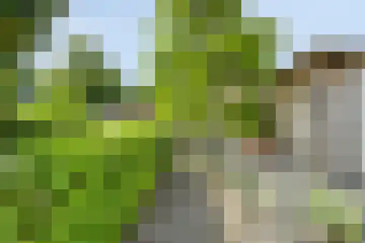 Noorderkroon 30 Roden thumbnail 34