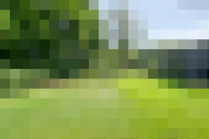 Noorderkroon 30 Roden thumbnail 35