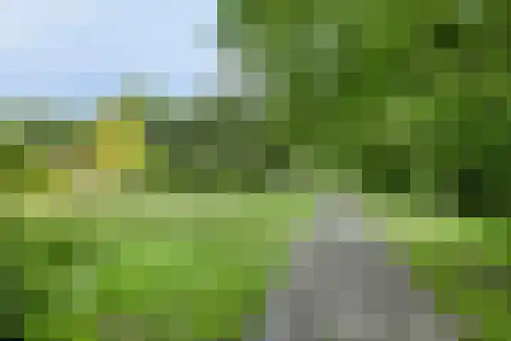 Noorderkroon 30 Roden thumbnail 36