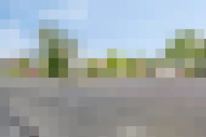 Noorderkroon 30 Roden thumbnail 39