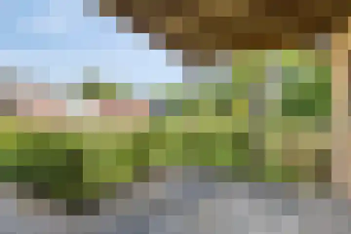 Noorderkroon 30 Roden thumbnail 4