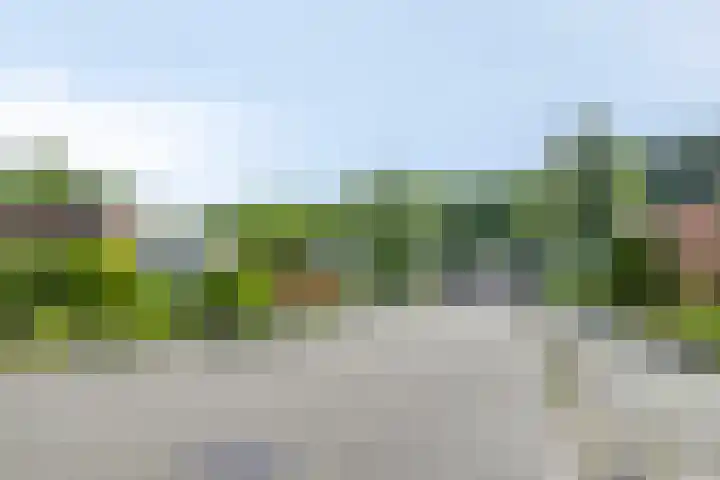 Noorderkroon 30 Roden thumbnail 40