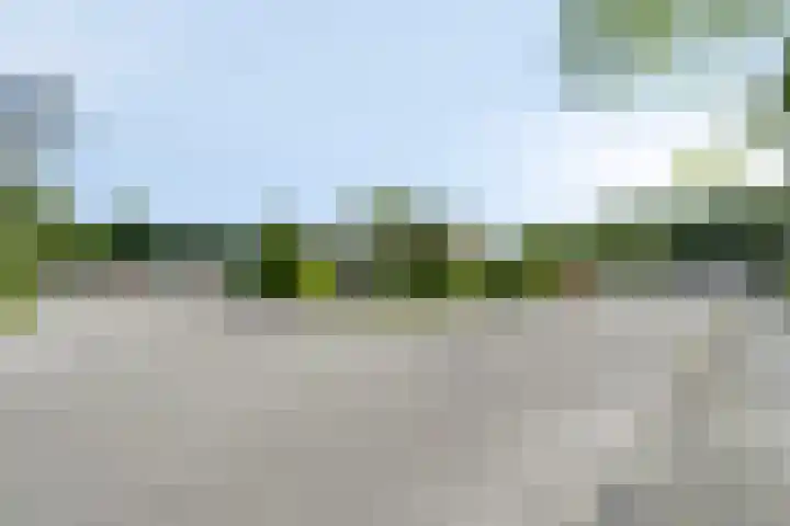 Noorderkroon 30 Roden thumbnail 41
