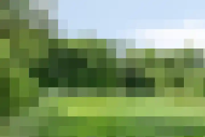Noorderkroon 30 Roden thumbnail 42