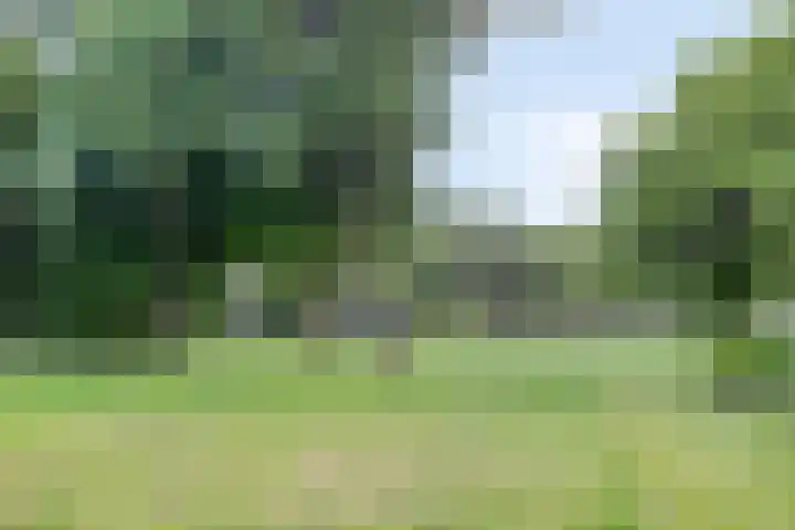 Noorderkroon 30 Roden thumbnail 43