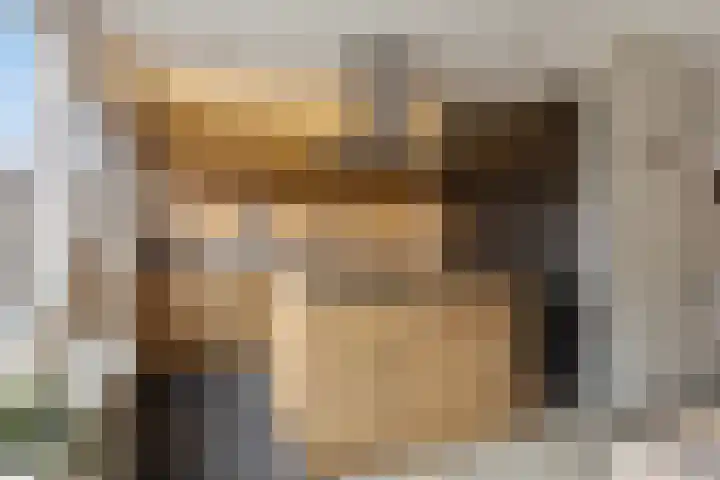 Noorderkroon 30 Veenendaal thumbnail 12