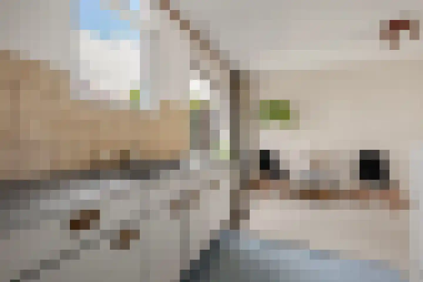 Noorderkroon 32 Amstelveen thumbnail 8
