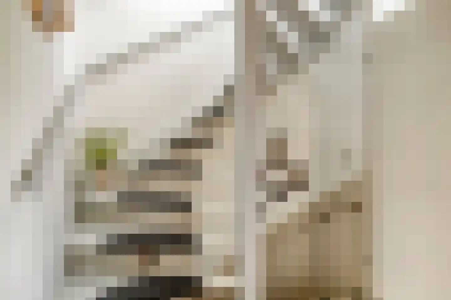 Noorderkroon 40 Amstelveen thumbnail 19