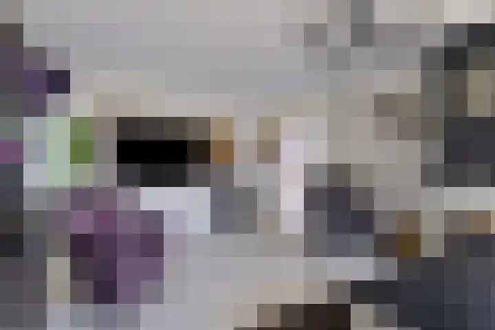 Noorderkroon 6 Roden thumbnail 10