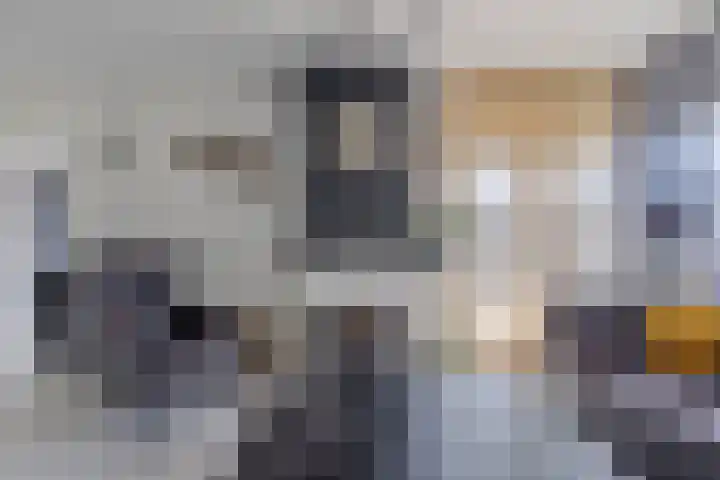 Noorderkroon 6 Roden thumbnail 12