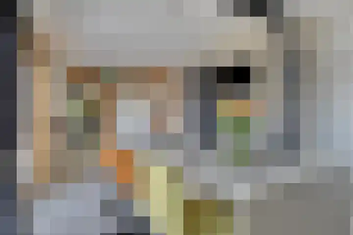 Noorderkroon 6 Roden thumbnail 17
