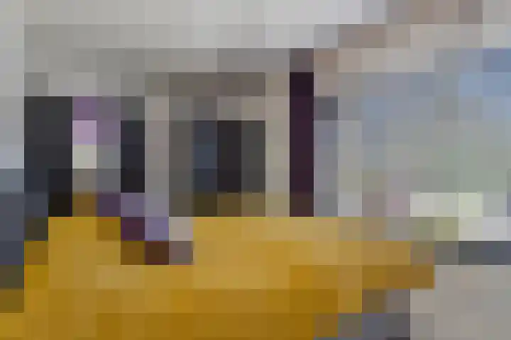 Noorderkroon 6 Roden thumbnail 22