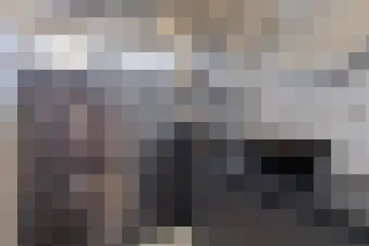 Noorderkroon 6 Roden thumbnail 24