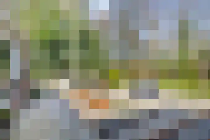 Noorderkroon 6 Roden thumbnail 27