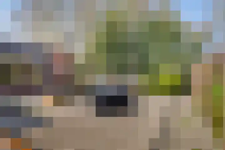 Noorderkroon 6 Roden thumbnail 28