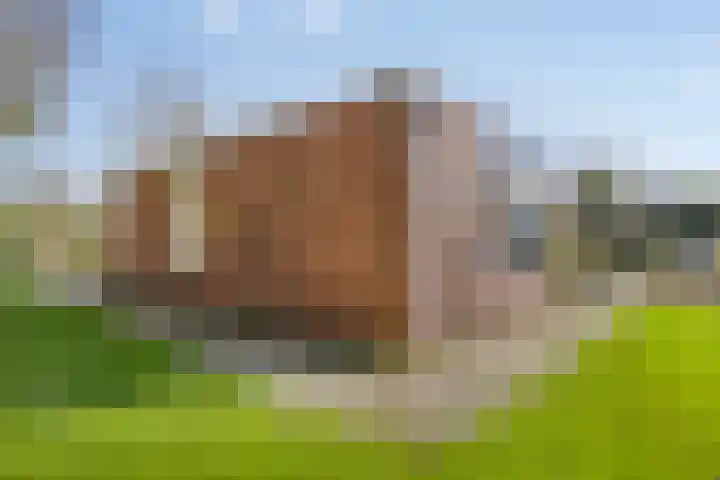 Noorderkroon 6 Roden thumbnail 31