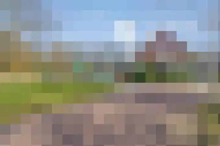 Noorderkroon 6 Roden thumbnail 35