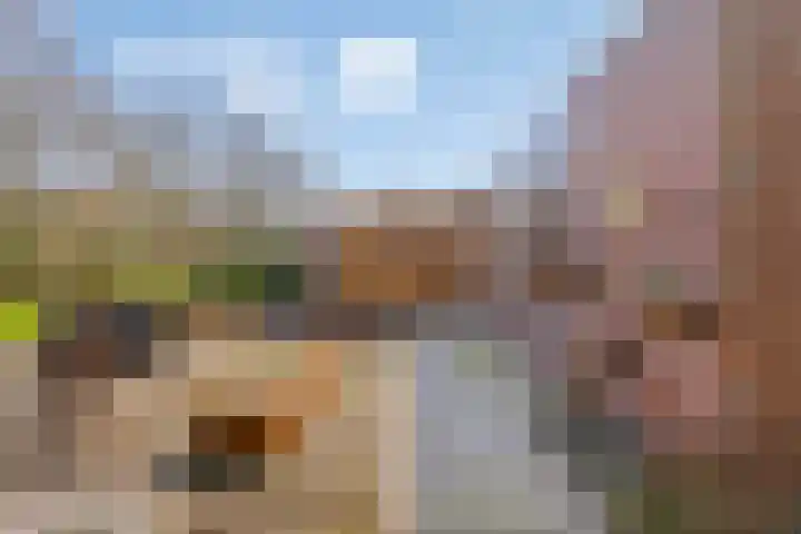 Noorderkroon 6 Roden thumbnail 4