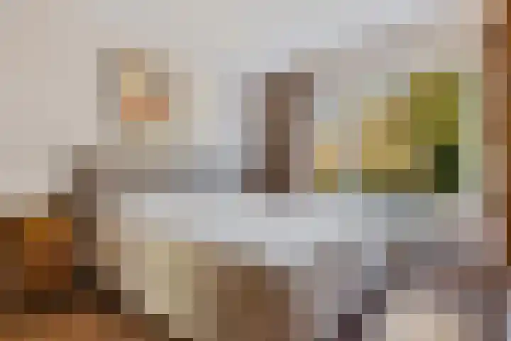 Noorderkroon 7 Roden thumbnail 17