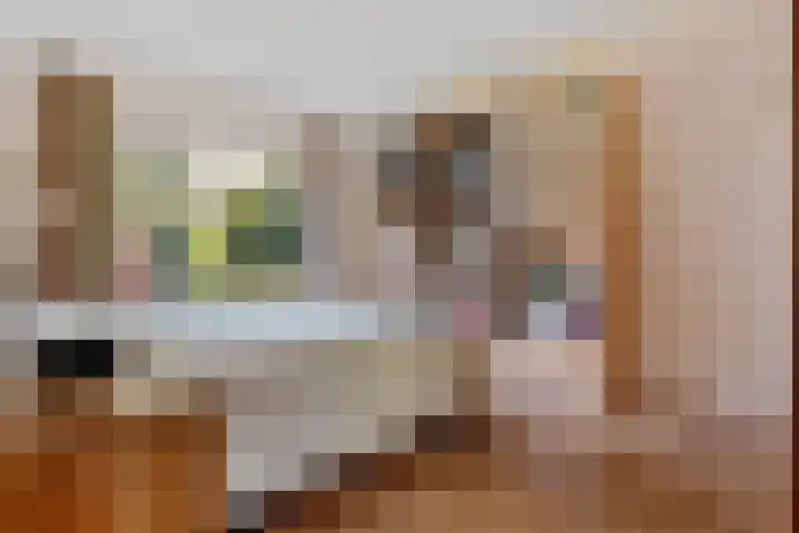 Noorderkroon 7 Roden thumbnail 18