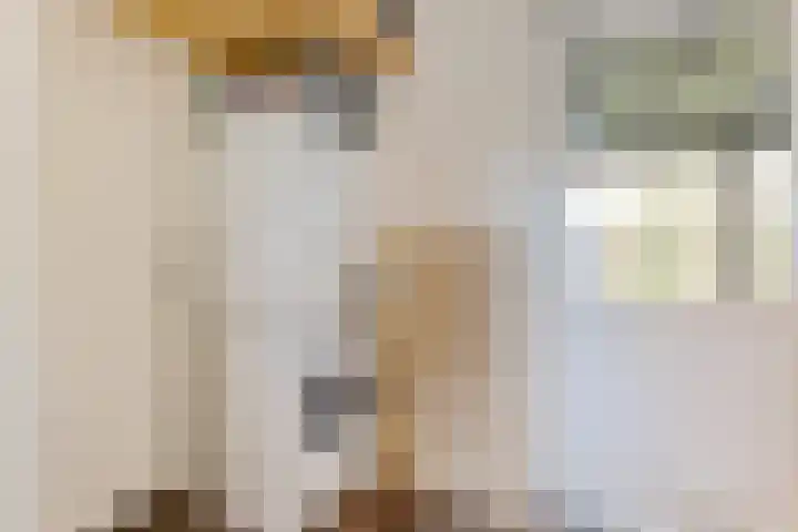 Noorderkroon 7 Roden thumbnail 27