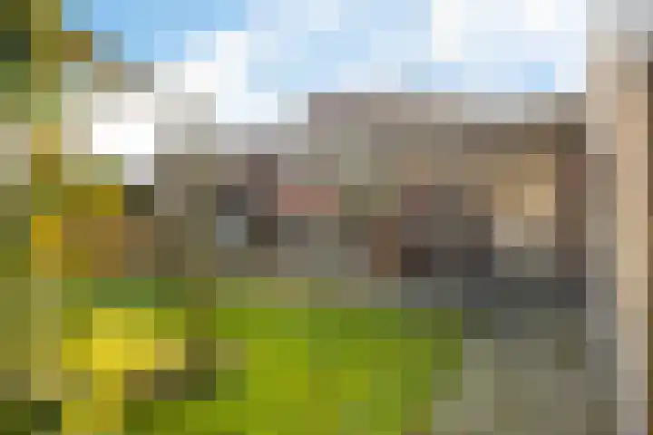 Noorderkroon 7 Roden thumbnail 29