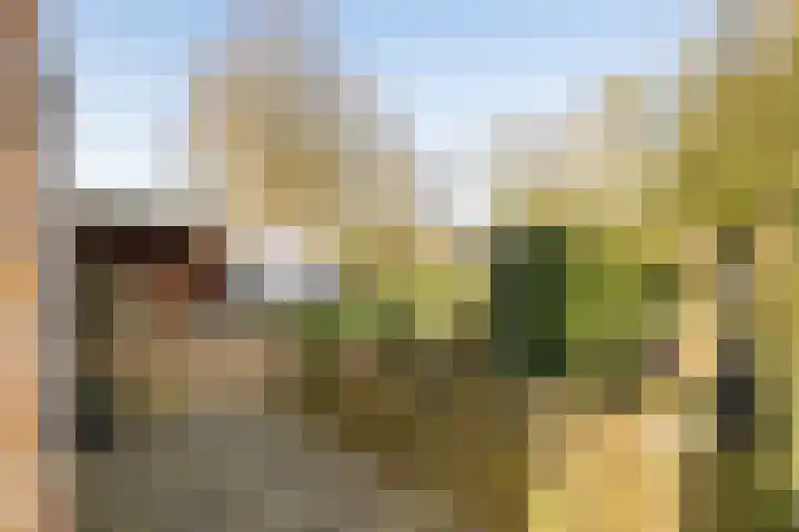 Noorderkroon 7 Roden thumbnail 33