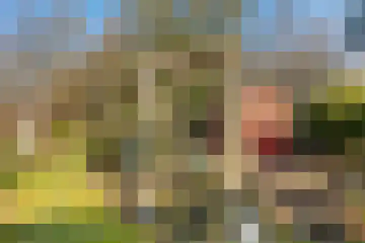 Noorderkroon 7 Roden thumbnail 34