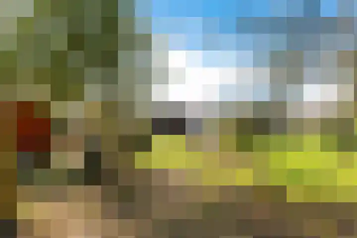Noorderkroon 7 Roden thumbnail 35