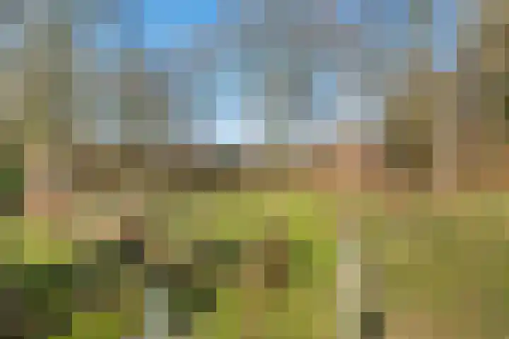 Noorderkroon 7 Roden thumbnail 36