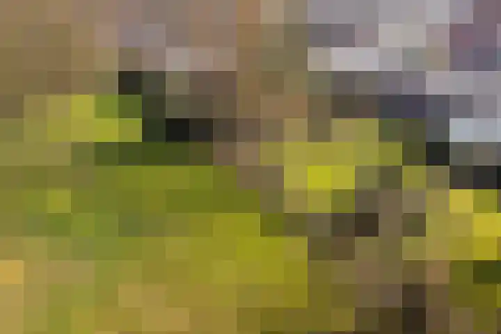Noorderkroon 7 Roden thumbnail 37