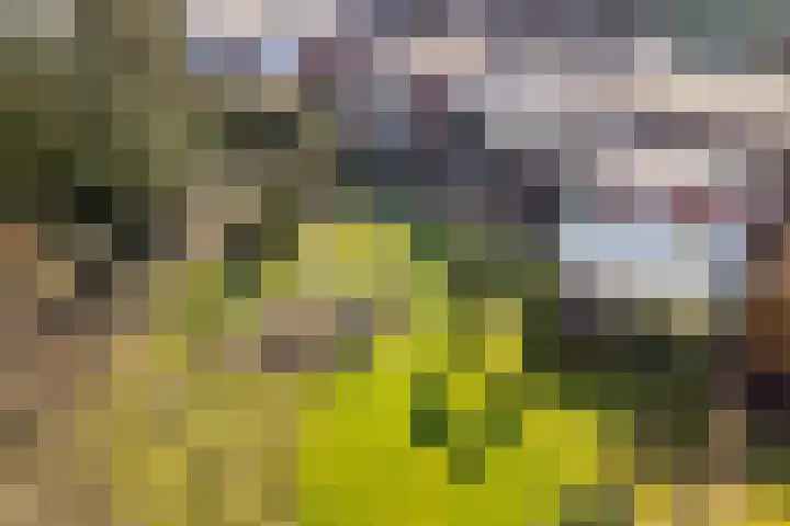 Noorderkroon 7 Roden thumbnail 38