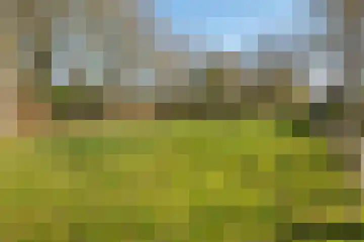 Noorderkroon 7 Roden thumbnail 41