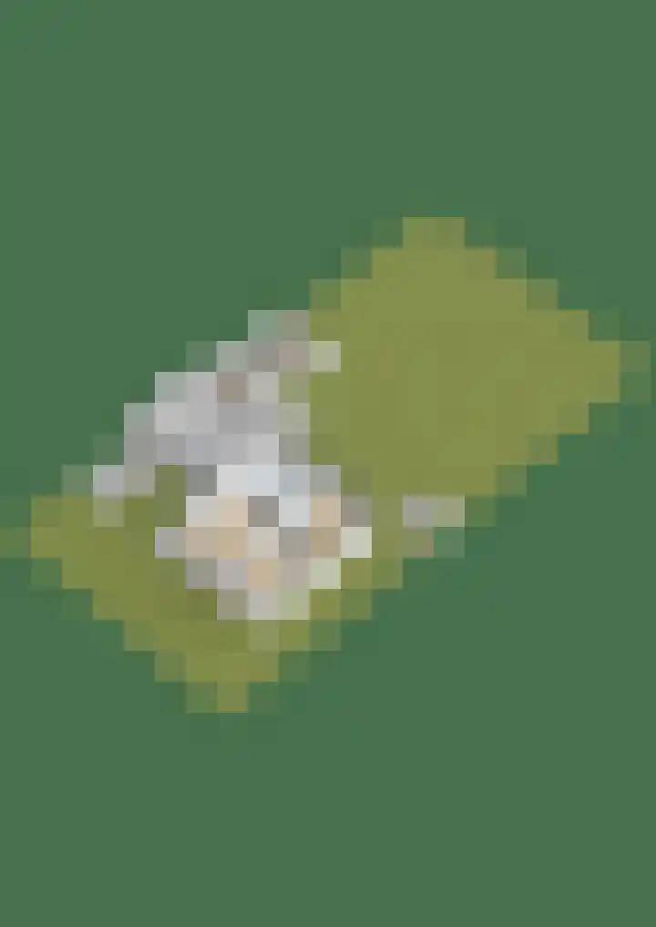 Noorderkroon 7 Roden thumbnail 51
